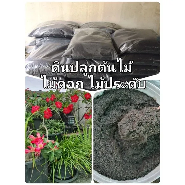 ดินปลูกต้นไม้ ไม้ดอกไม้ประดับ ดินพร้อมปลูก