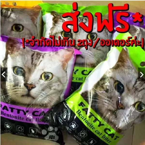ทรายแมวภูเขาไฟ Fatty Cat กลิ่นหอม 10 ลิตร จับตัวเป็นก้อน