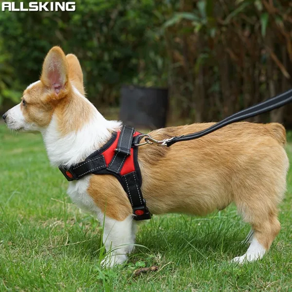 Allsking สายจูง + สายรัดอกสุนัข ชุดฝึกจูง